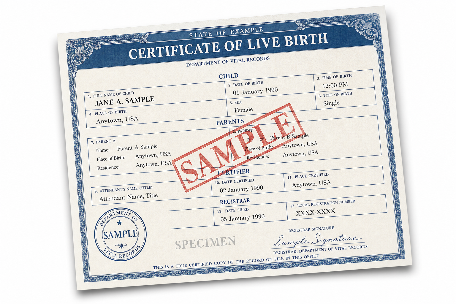 Sample birth certificate